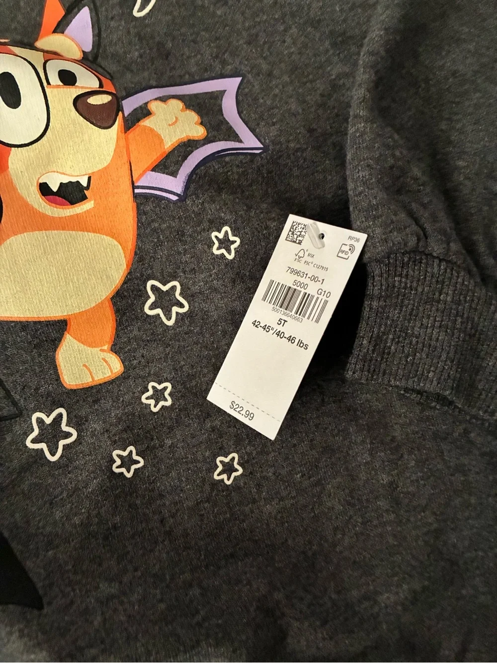 GAP Kids Charcoal Sweatshirt with Bluey Character Print